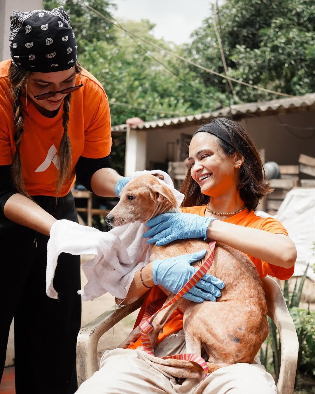 Colitas Felices: Amor por los Animales